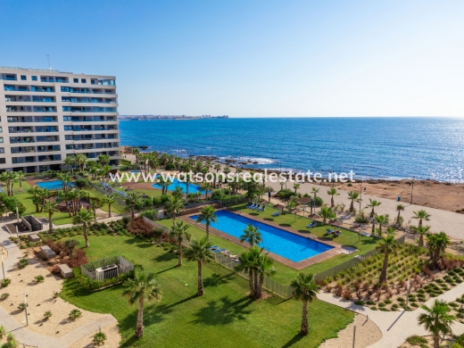 Apartment - New Build - Orihuela  Costa - Punta Prima