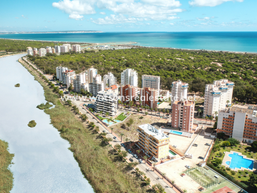 Apartment - Nouvelle construction - Guardamar del Segura - Guardamar del Segura