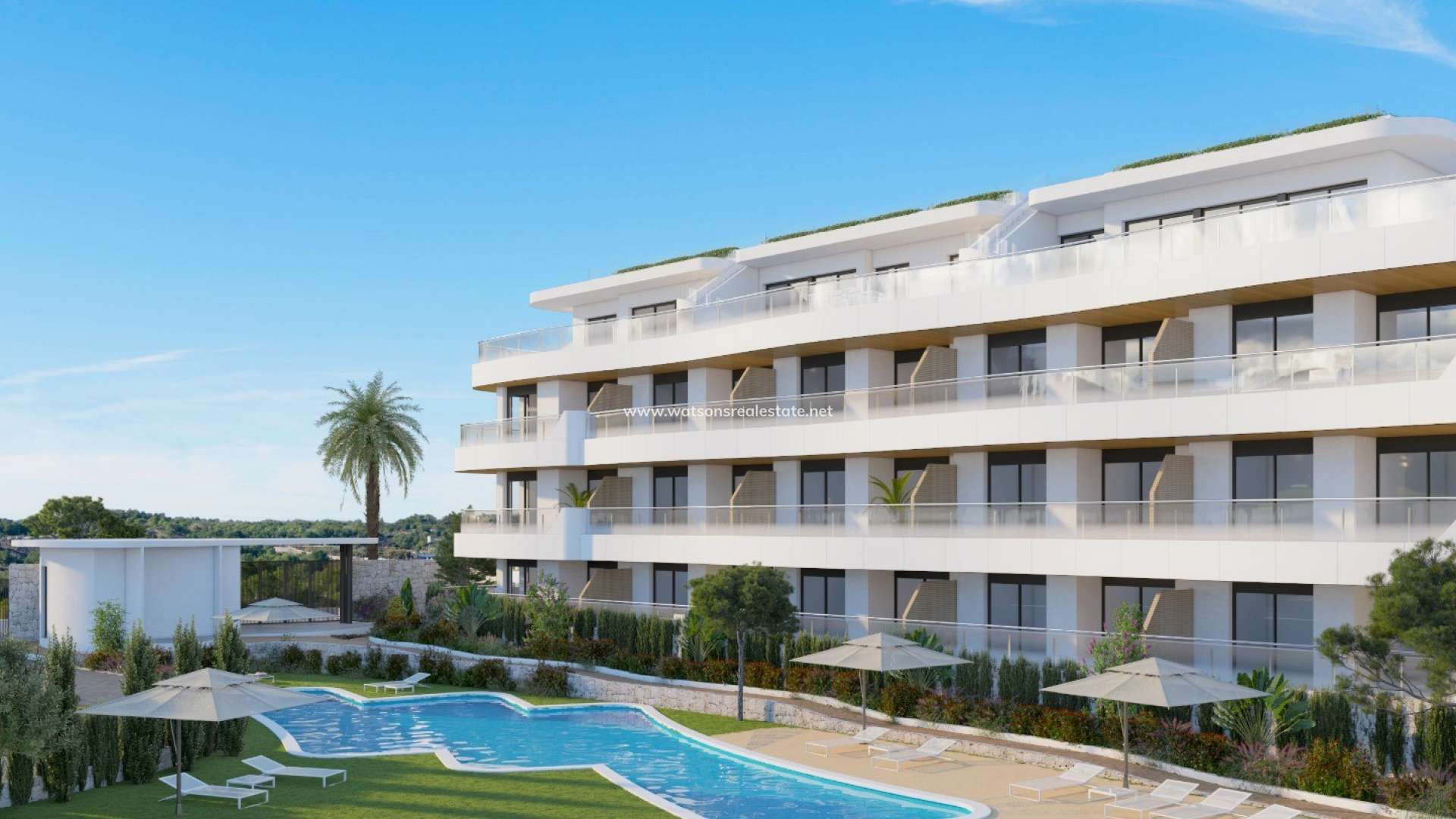Detached - New Build - Playa Flamenca - NB5026