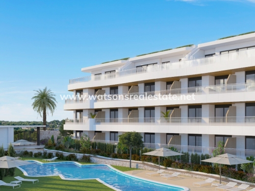 Detached - New Build - Playa Flamenca - Playa Flamenca