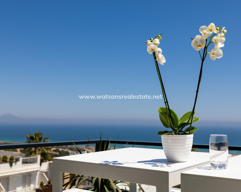 New Build - Apartment - Alicante