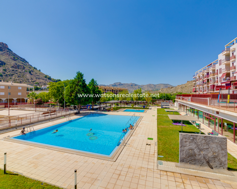 New Build - Apartment - Archena