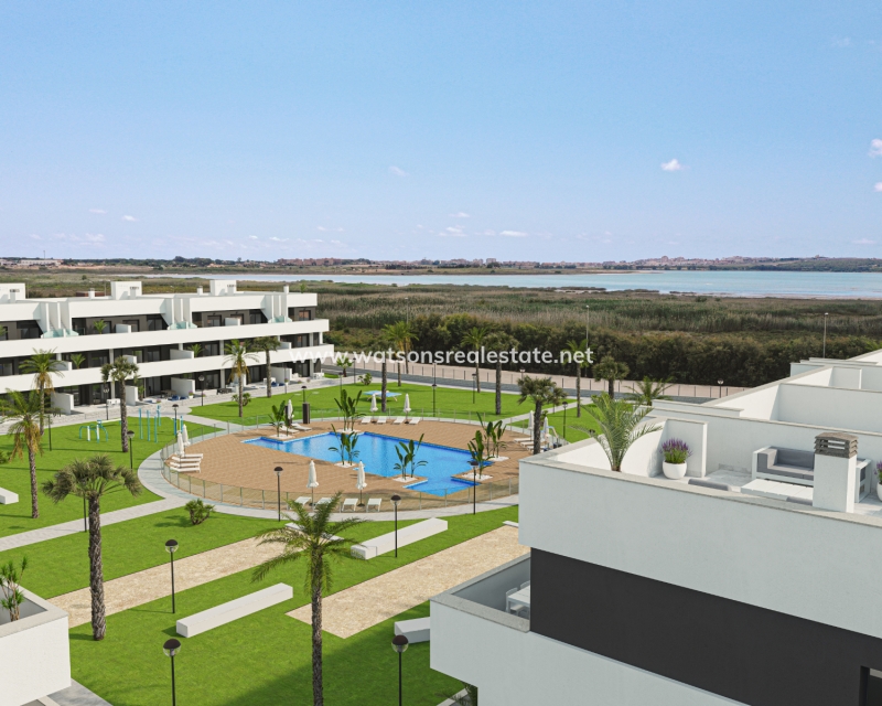 New Build - Apartment - Guardamar del Segura - El Raso