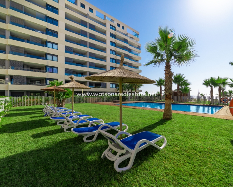 New Build - Apartment - Orihuela  Costa - Punta Prima