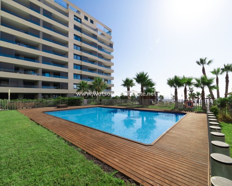 New Build - Apartment - Orihuela  Costa - Punta Prima