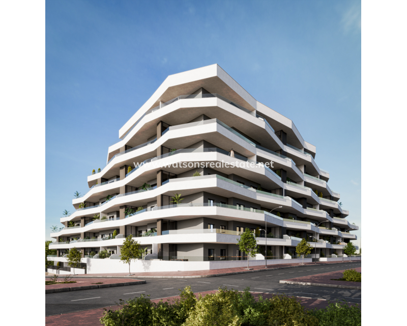 New Build - Apartment - San Miguel / Vistabella Golf - San Miguel de Salinas