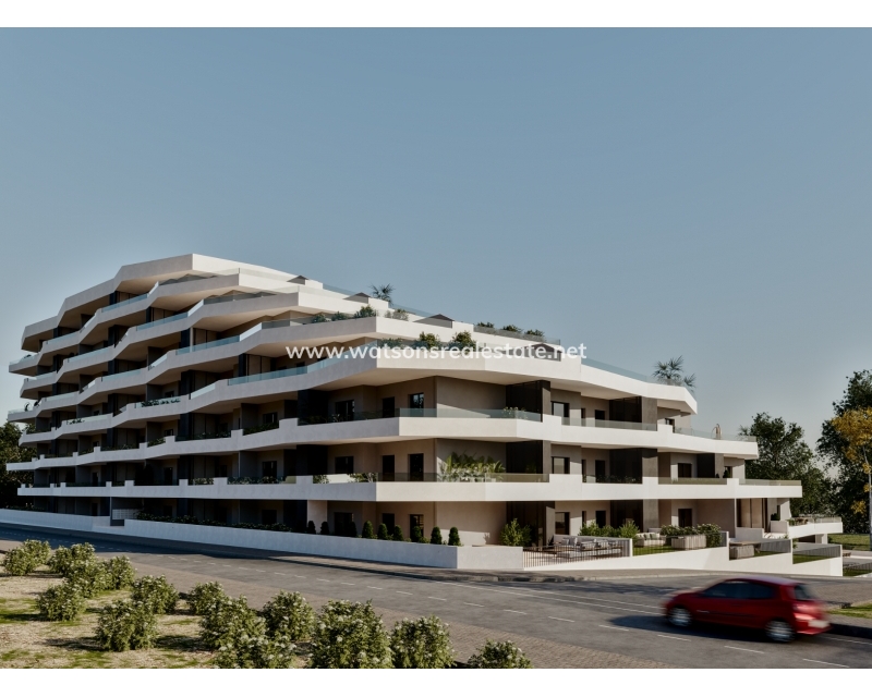 New Build - Apartment - San Miguel / Vistabella Golf - San Miguel de Salinas