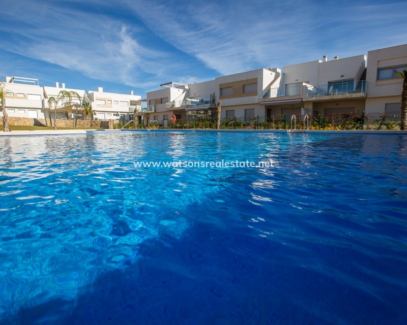 New Build - Apartment - San Miguel / Vistabella Golf