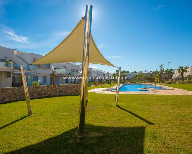 New Build - Apartment - San Miguel / Vistabella Golf