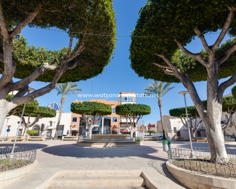 New Build - Detached - San Fulgencio