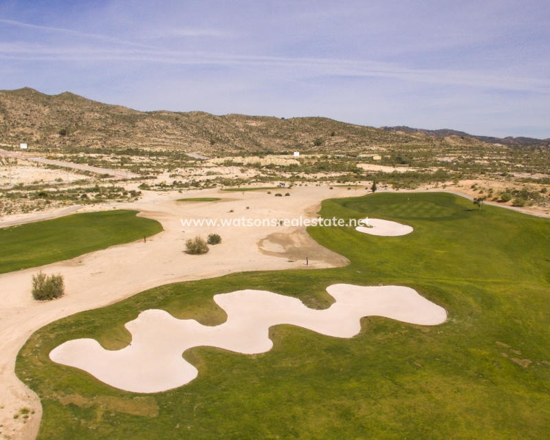 New Build - Freistendhe Villa - Baños y Mendigo - Altaona Golf