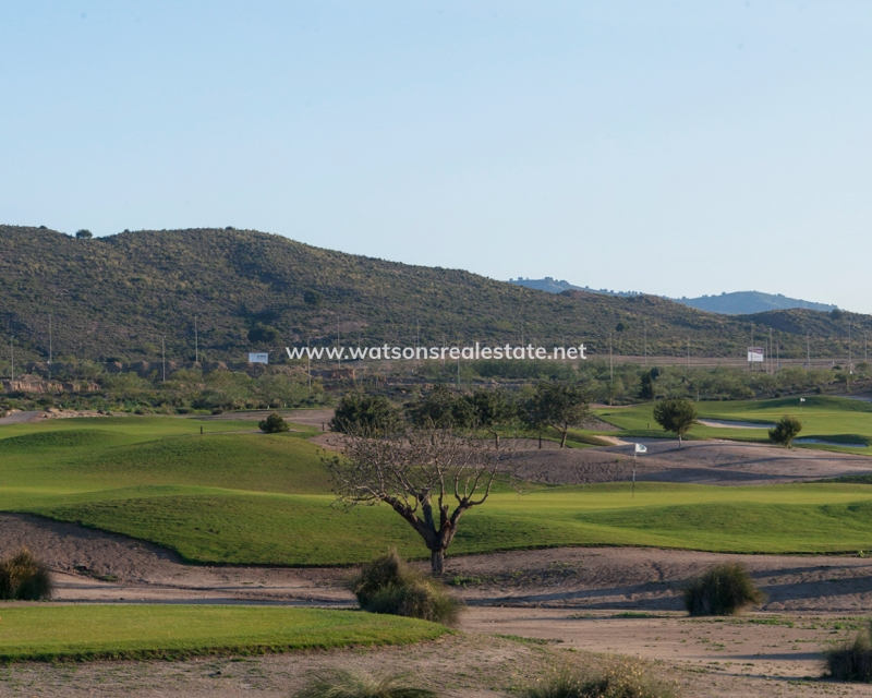 New Build - Freistendhe Villa - Baños y Mendigo - Altaona Golf