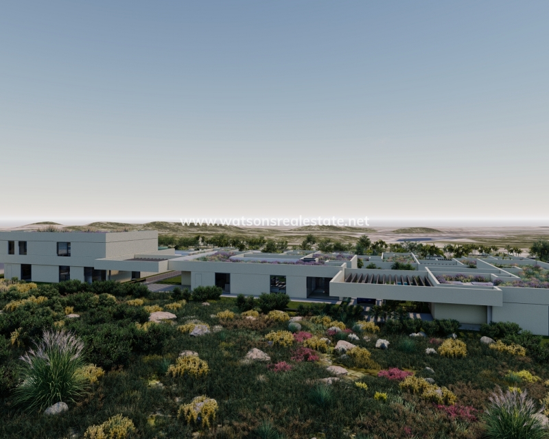 New Build - Freistendhe Villa - San Javier - Altaona Golf