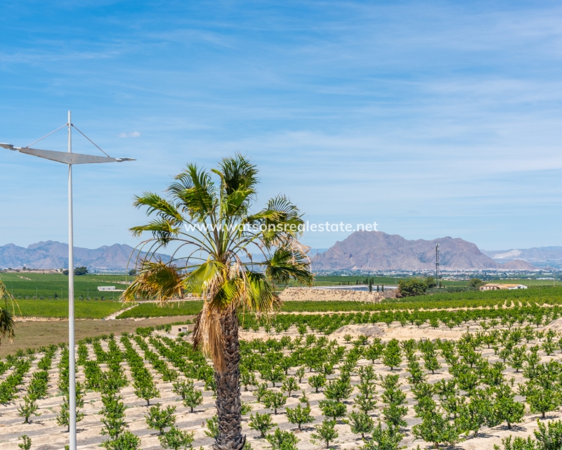 New Build - Fristaende Villa - La Finca Golf