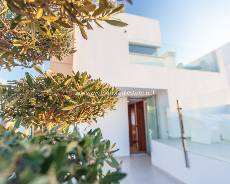 New Build - Neubau - Guardamar del Segura - El Raso