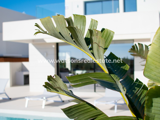 New Build - Neubau - Los Montesinos - La Herrada