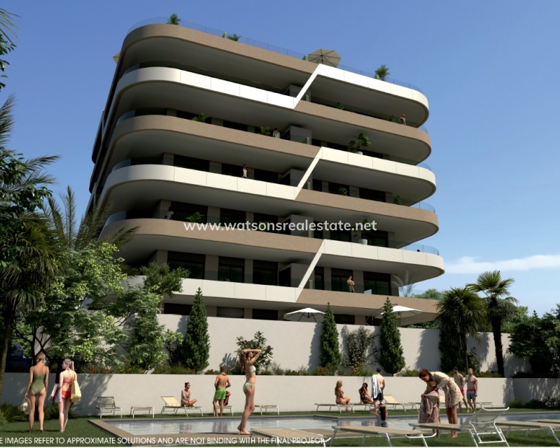 New Build - New-Build - Elche - Los Arenales del Sol