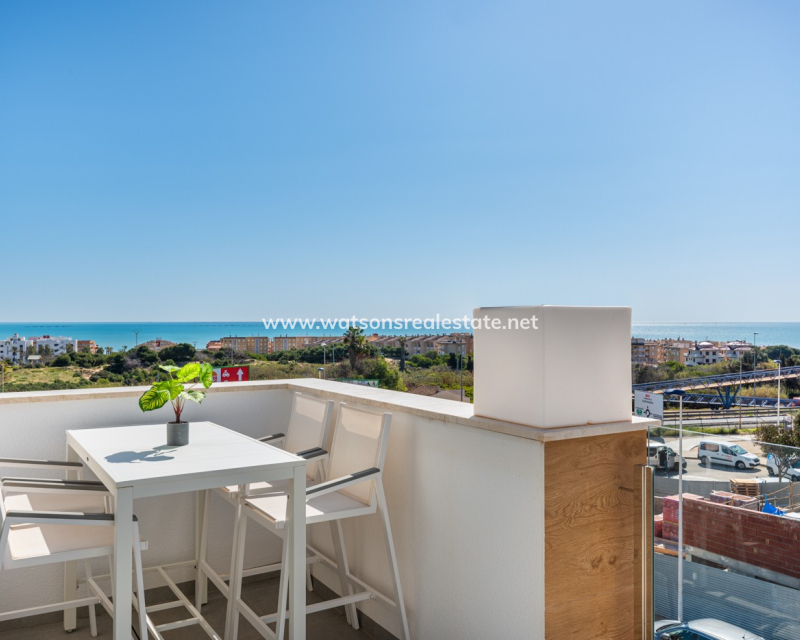 New Build - New-Build - Guardamar del Segura - El Raso