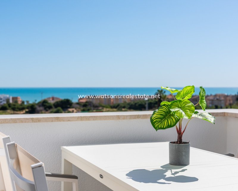 New Build - New-Build - Guardamar del Segura - El Raso