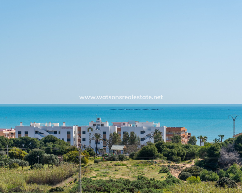 New Build - New-Build - Guardamar del Segura - El Raso