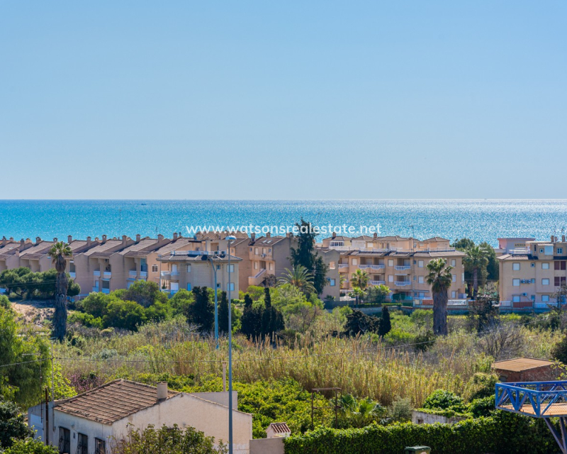New Build - New-Build - Guardamar del Segura - El Raso