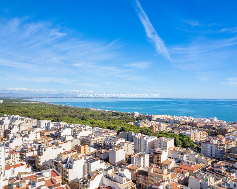 Nouvelle construction - Apartment - Guardamar del Segura