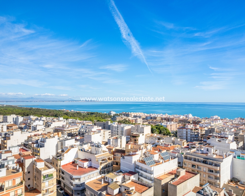 Nouvelle construction - Apartment - Guardamar del Segura