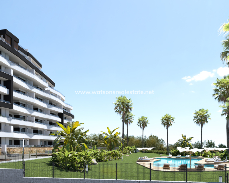 Nouvelle construction - Apartment - San Miguel / Vistabella Golf - San Miguel de Salinas
