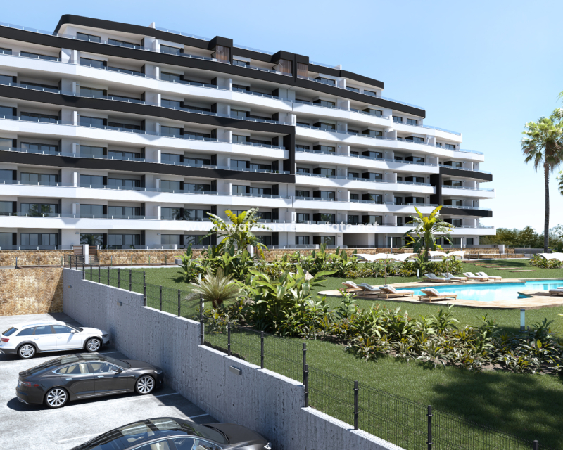 Nouvelle construction - Apartment - San Miguel / Vistabella Golf - San Miguel de Salinas