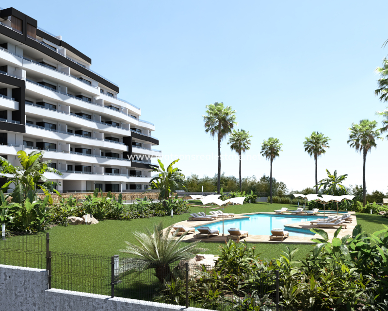 Nouvelle construction - Apartment - San Miguel / Vistabella Golf - San Miguel de Salinas