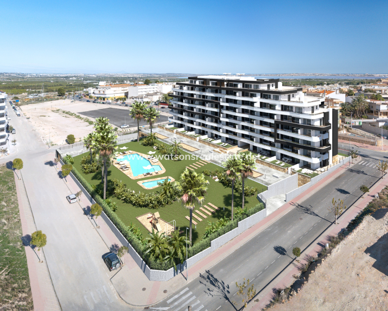 Nouvelle construction - Apartment - San Miguel / Vistabella Golf - San Miguel de Salinas