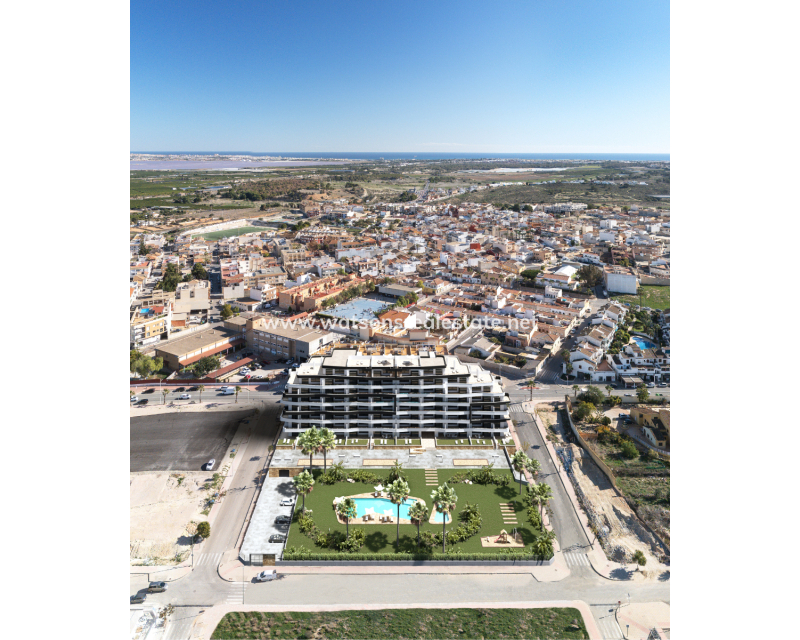 Nouvelle construction - Apartment - San Miguel / Vistabella Golf - San Miguel de Salinas