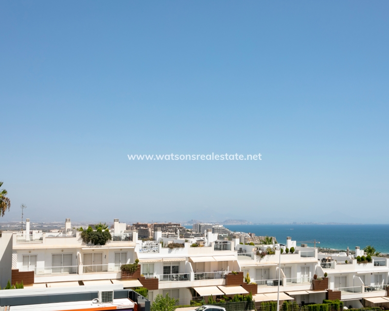 Nouvelle construction - Appartement - Alicante