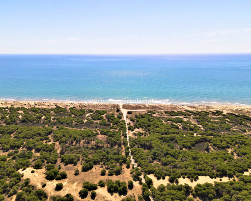 Nouvelle construction - Jumelé - El Pinet Beach