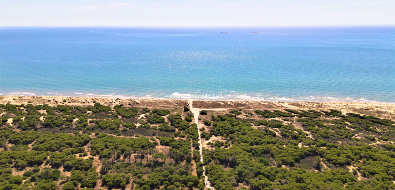 Nouvelle construction - Jumelé - El Pinet Beach