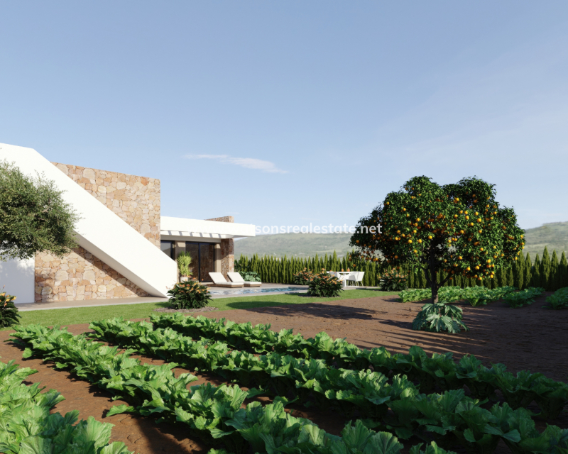 Nouvelle construction - Maison Individuelle - Fuente Álamo