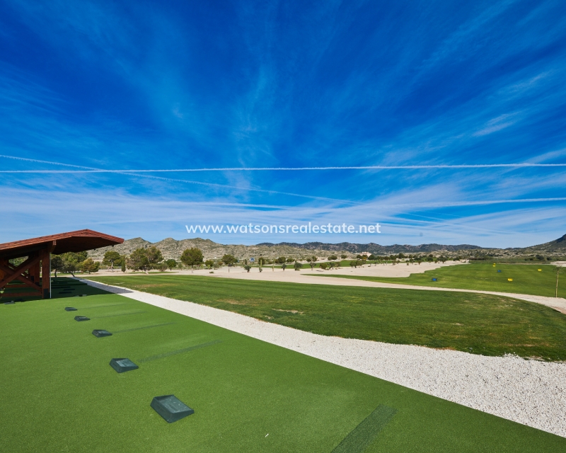 Nouvelle construction - Maison Individuelle - San Javier - Altaona Golf