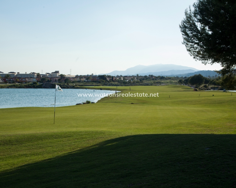 Nouvelle construction - Maison Individuelle - San Javier - Altaona Golf