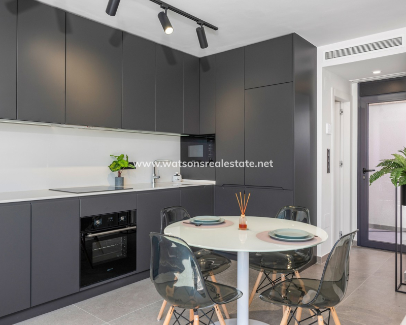 Nouvelle construction - Nieuwbouw - Guardamar del Segura - El Raso