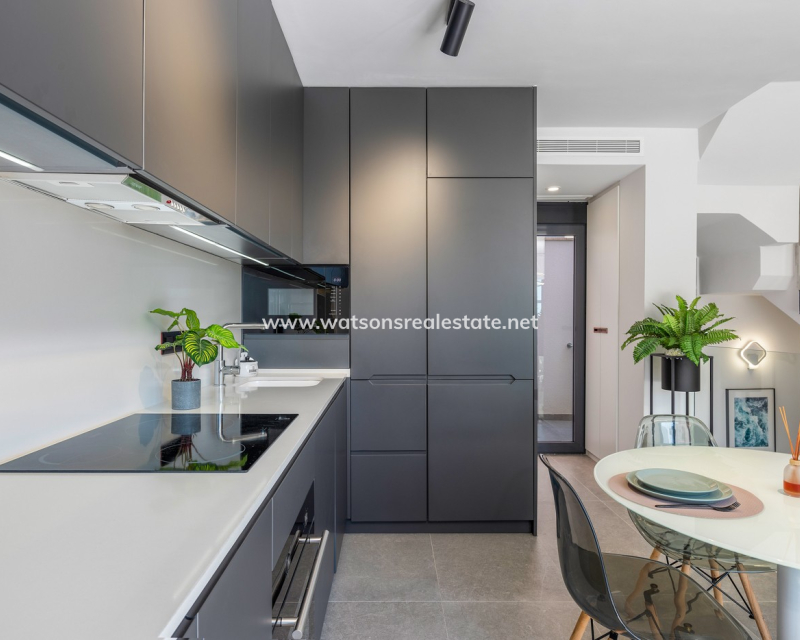 Nouvelle construction - Nieuwbouw - Guardamar del Segura - El Raso