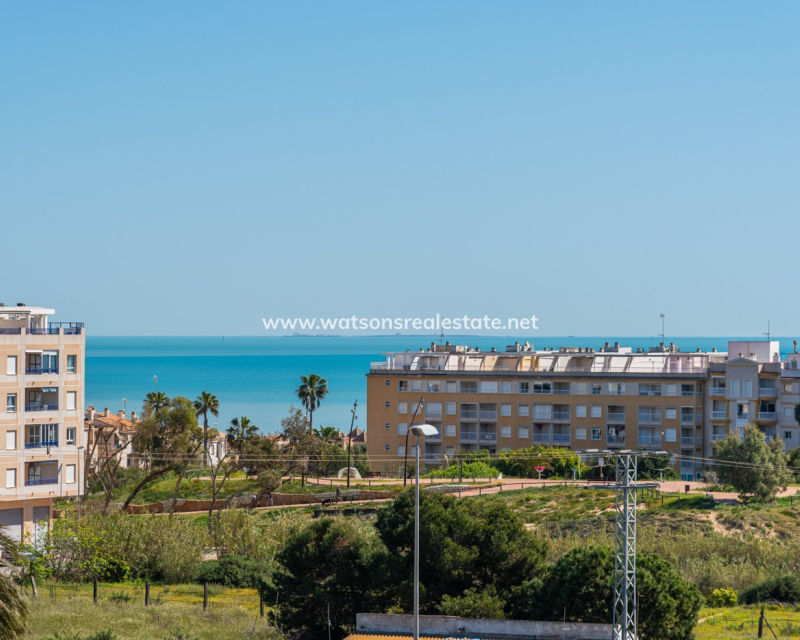 Nouvelle construction - Nieuwbouw - Guardamar del Segura - El Raso