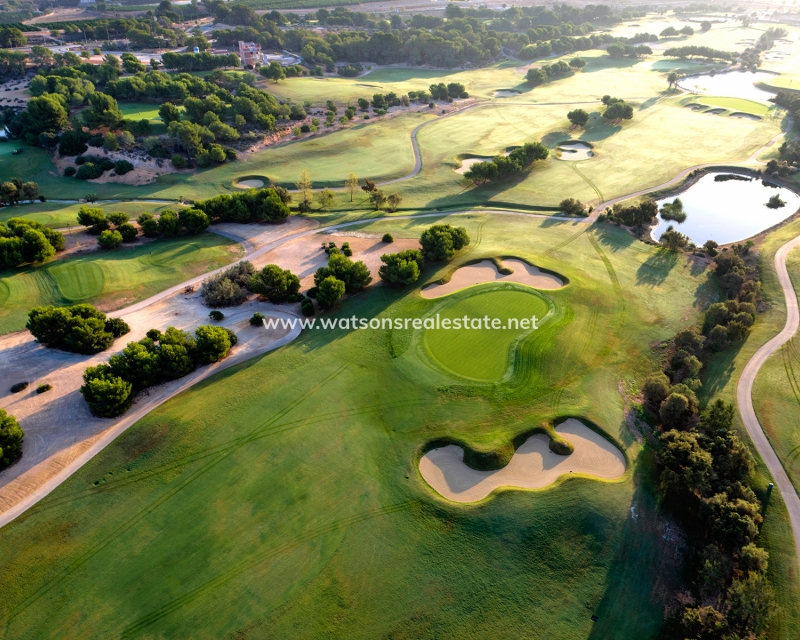 Nouvelle construction - Nieuwbouw - Pilar de la Horadada - Lo Romero Golf