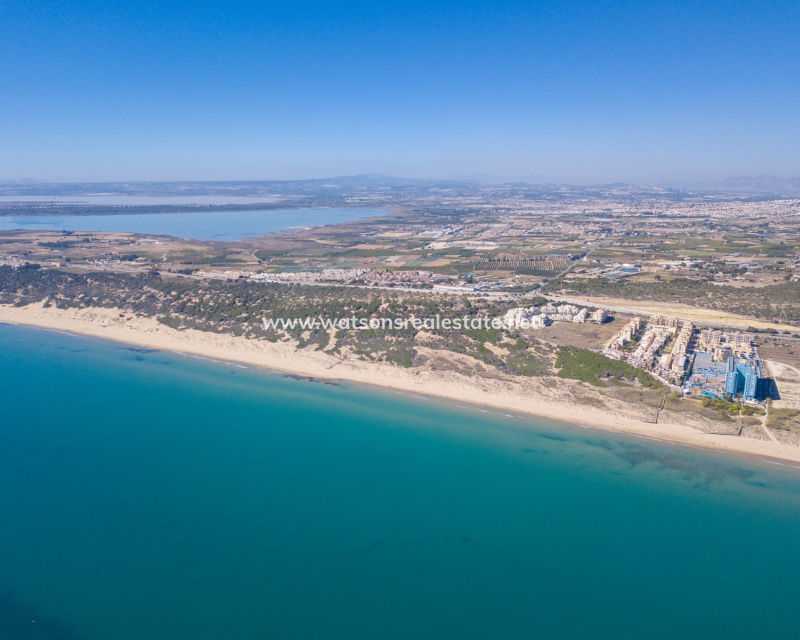 Nouvelle construction - Nouvelle Construction - Guardamar del Segura - El Raso