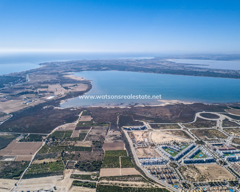 Nouvelle construction - Nouvelle Construction - Guardamar del Segura - El Raso