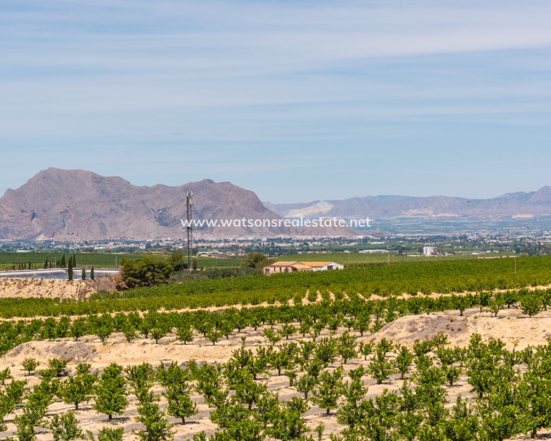 Nouvelle construction - Vrijstaande Villa - La Finca Golf