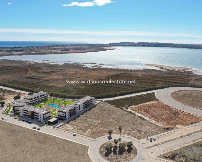 Nueva construcción  - Apartmento - Guardamar del Segura - El Raso