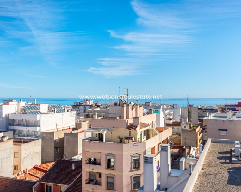 Nueva construcción  - Apartmento - Guardamar del Segura