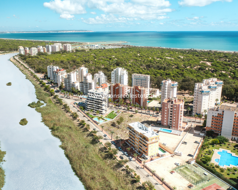 Nueva construcción  - Apartmento - Guardamar del Segura