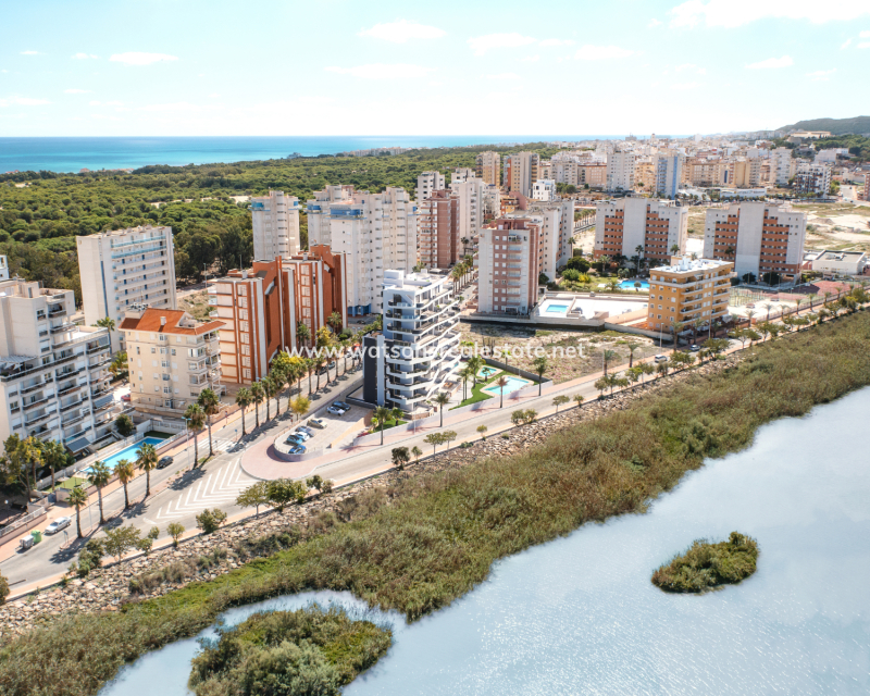 Nueva construcción  - Apartmento - Guardamar del Segura