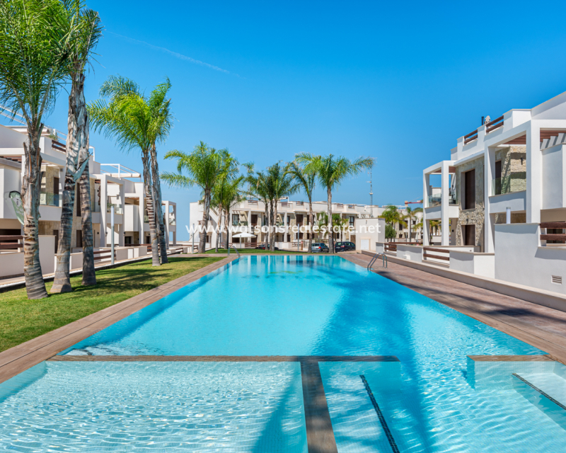 Nueva construcción  - Apartmento - Torrevieja